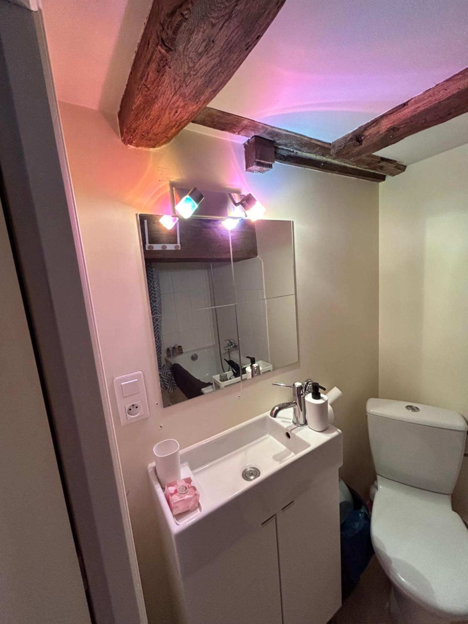 Cosy Jacobins Apartment Langres Ngoại thất bức ảnh